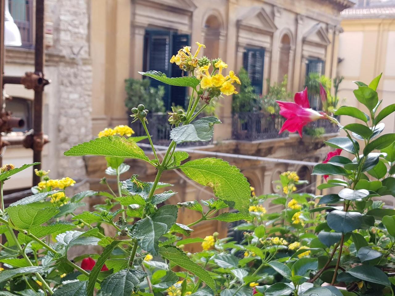 Casa Coccinella Bed and Breakfast Caltanissetta Buitenkant foto